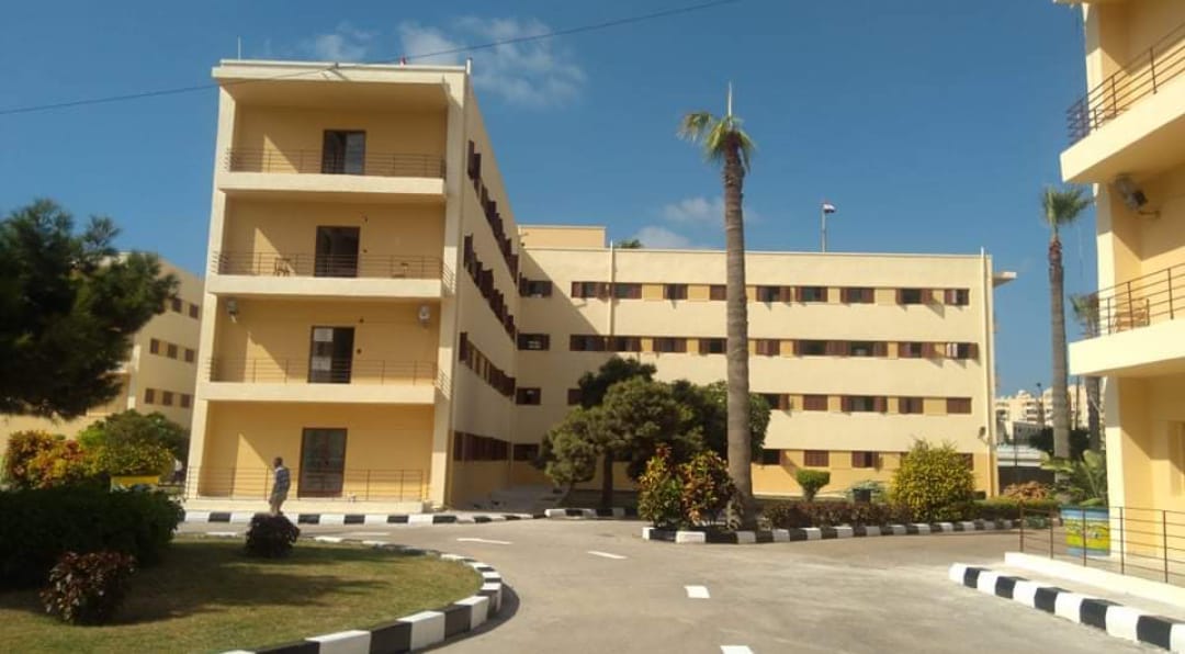 150069429 5803913072967367 6473321576730642007 o