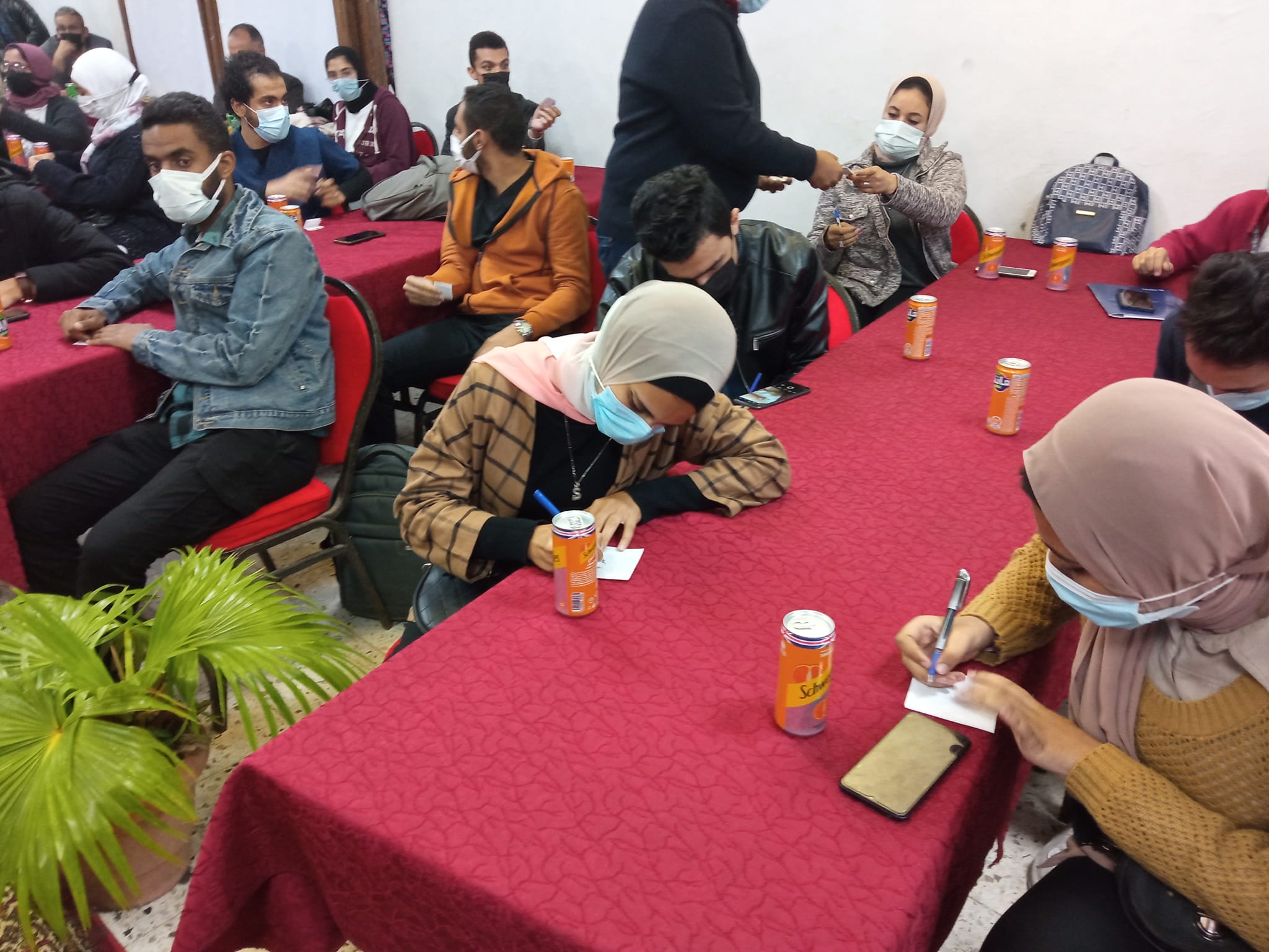 262103298 7349868131705179 8420303819095566046 n