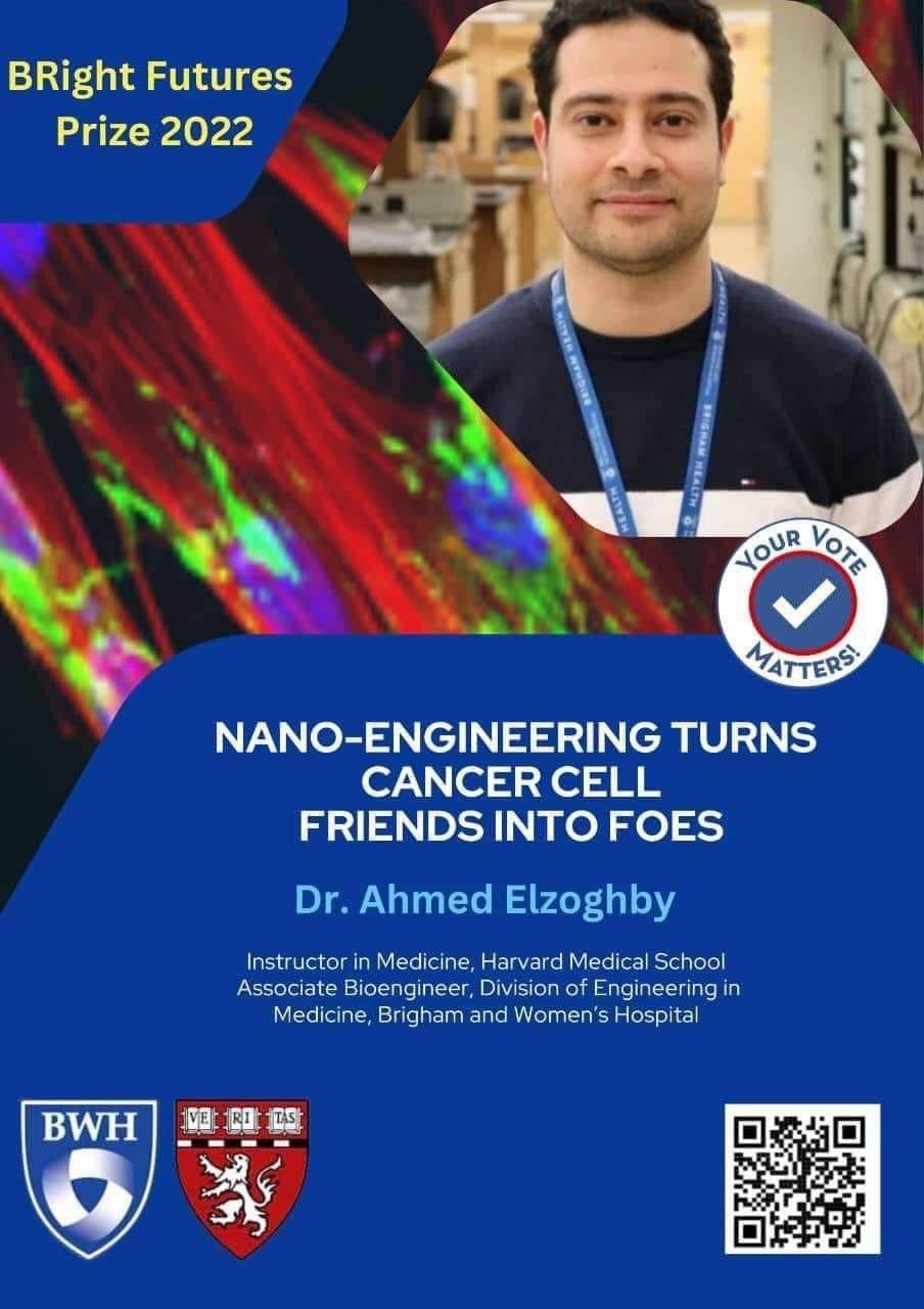 309264480 8924485680910075 3836989783170838260 n