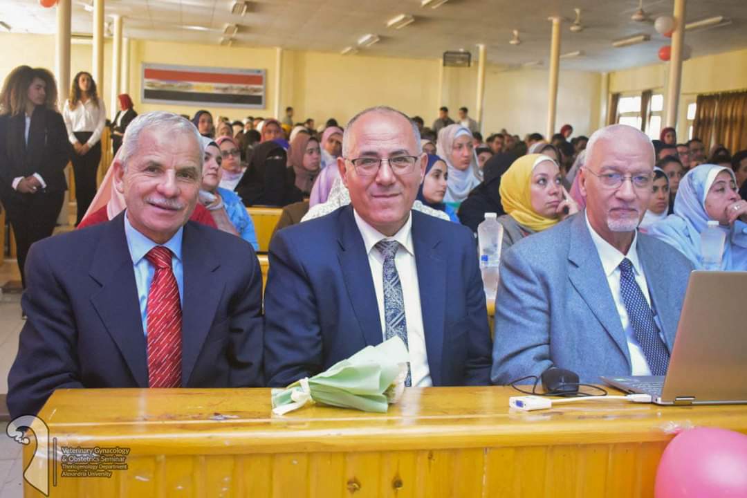 39135956 ad62 4f69 a8d7 2fc2e6a0938d