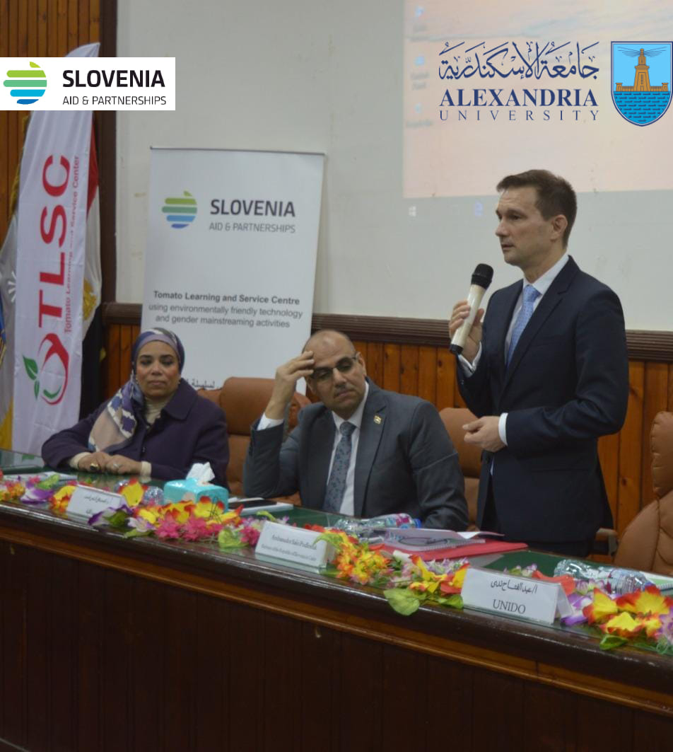 414967766 762797669220297 8997922084972518844 n