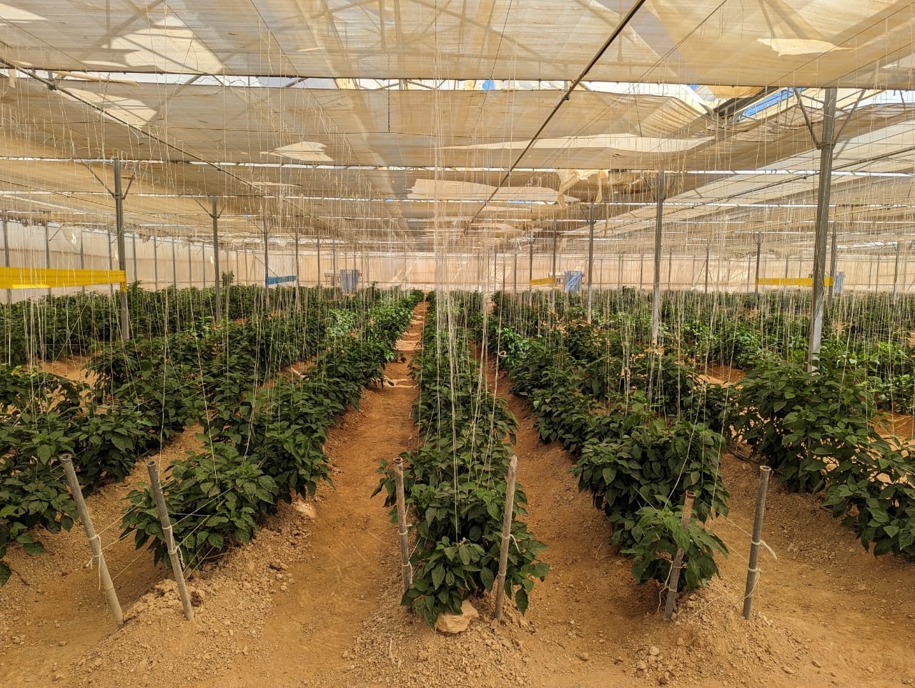 438096908 845885704244826 8544058191719453303 n