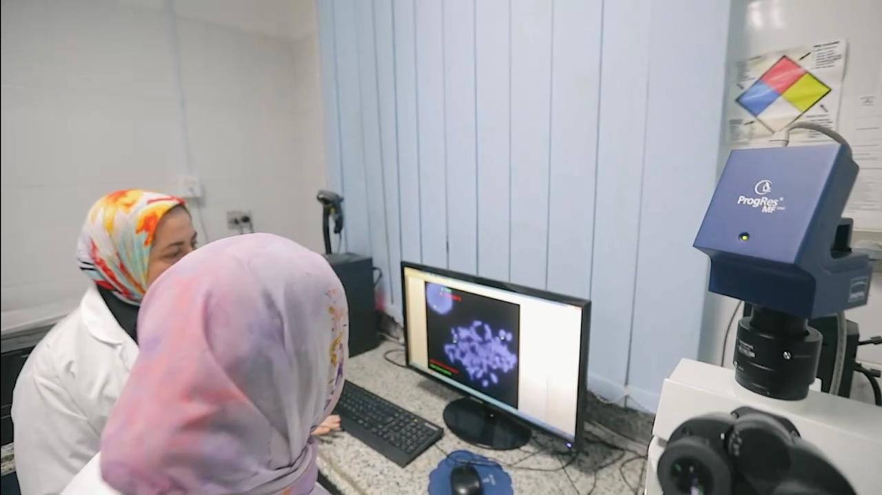 460941829 939285504904845 5340353974627271571 n