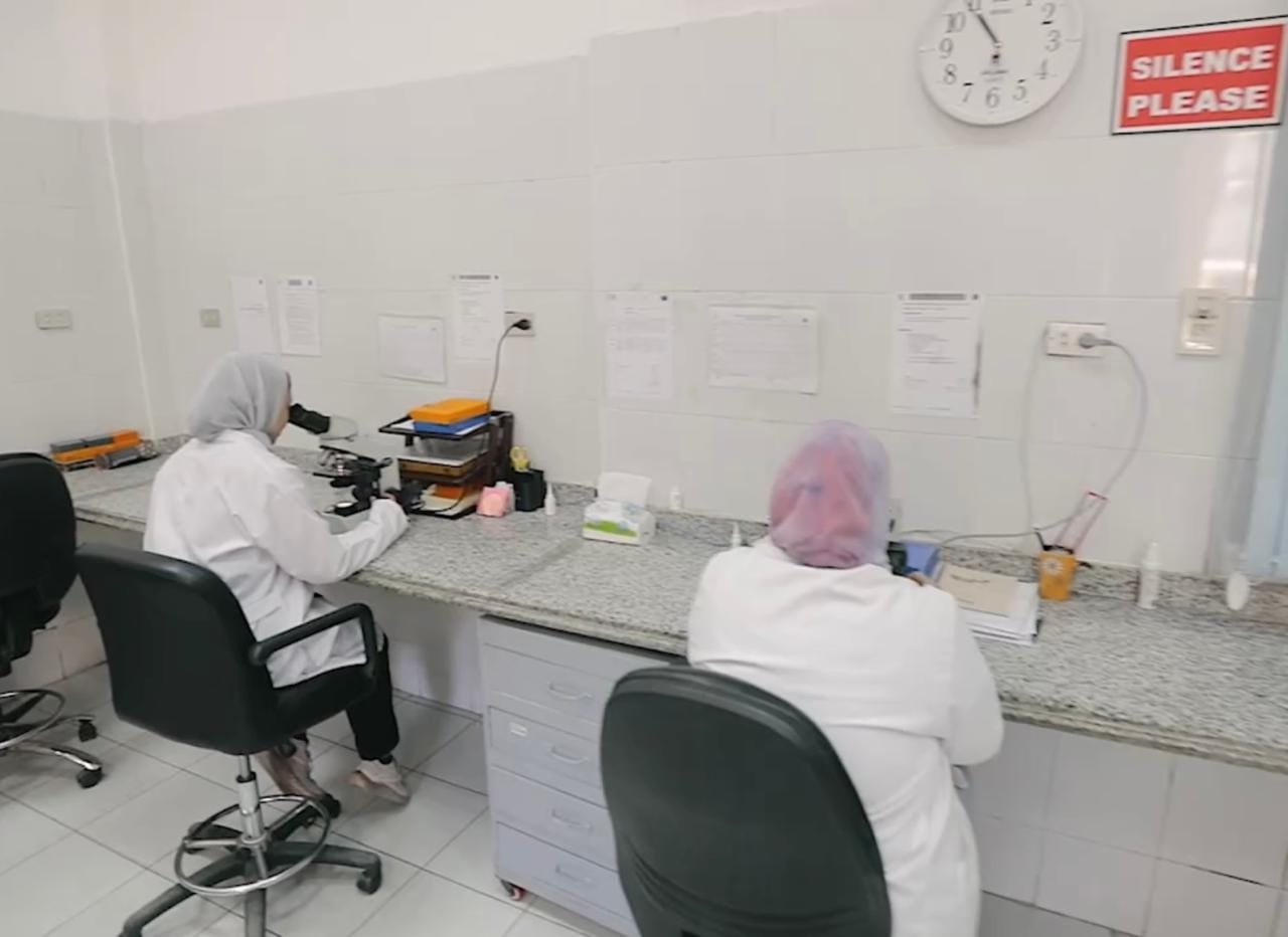 460963035 939285088238220 3651932052546367164 n