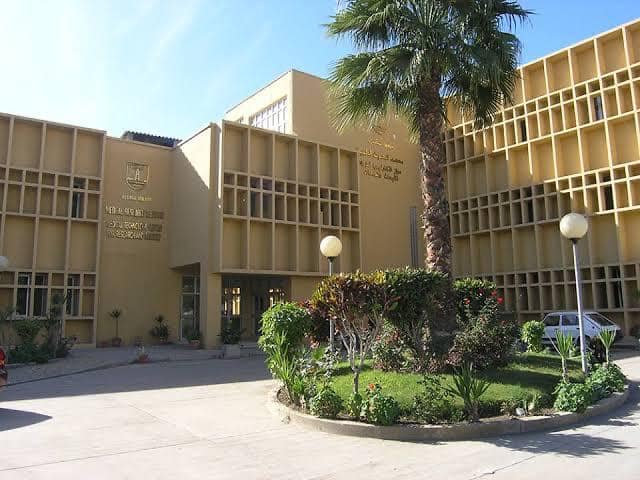 461192701 939284438238285 2310413128429765180 n