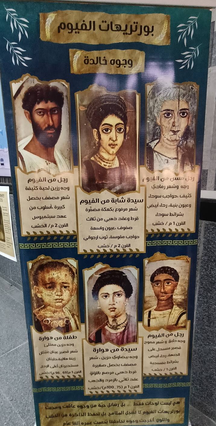 515437069 1194896672677059 2563167884838524138 n