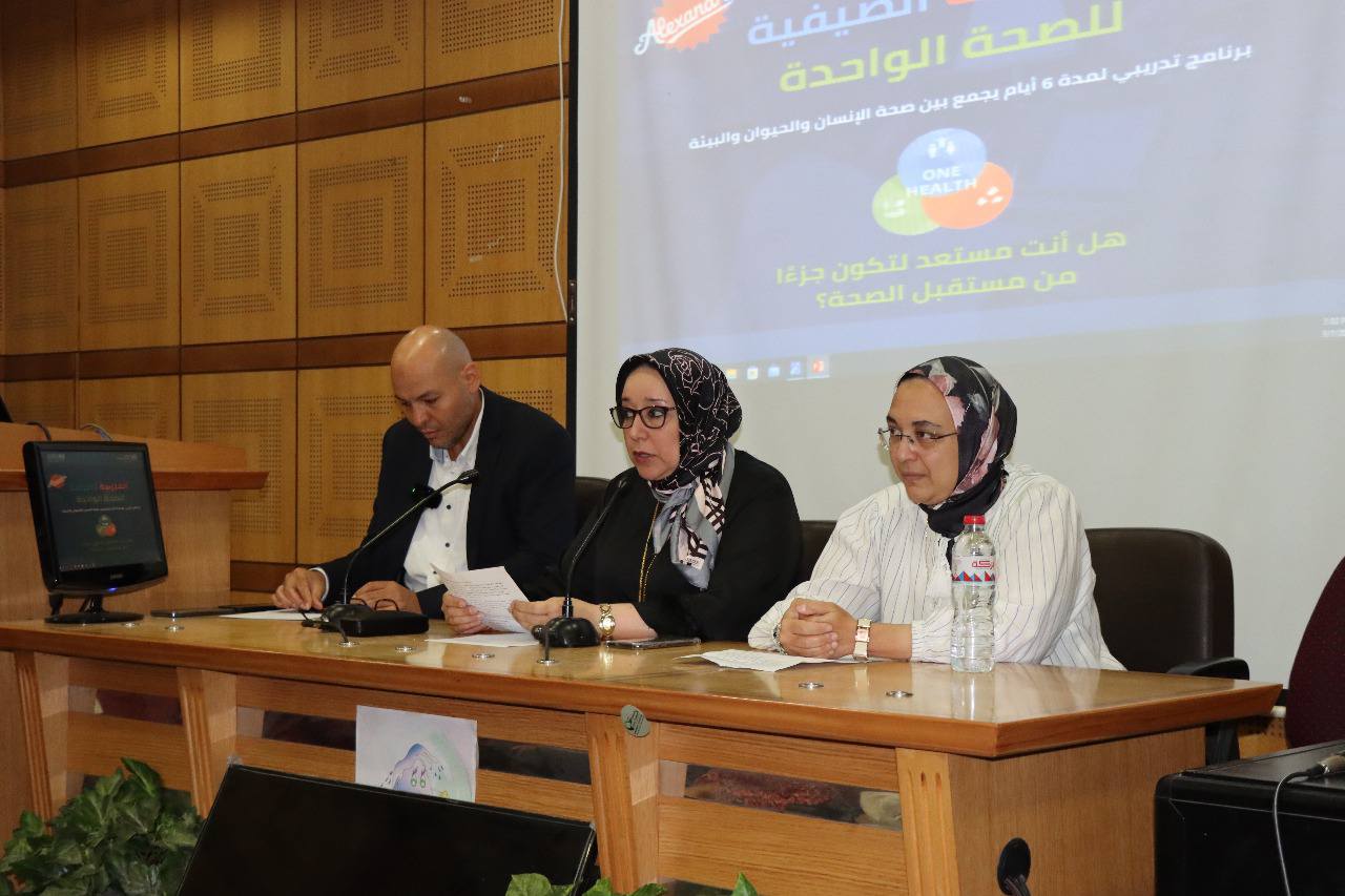 545519478 1211264321040294 2137355253062334714 n