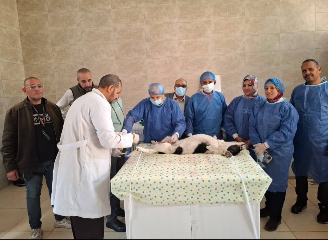 602462919 1303334221833303 8849744309687226111 n