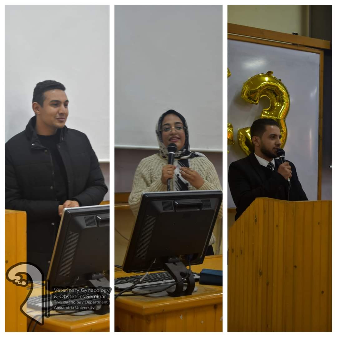 7857e8e5 4f75 454a 9a7b 07b8abd9865c